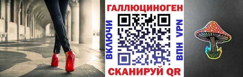 Купить закладки  Избербаш  Галлюциногенные грибы Psilocybe 