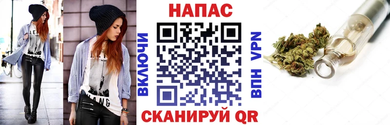 Купить закладки  Избербаш  Конопля сатива 